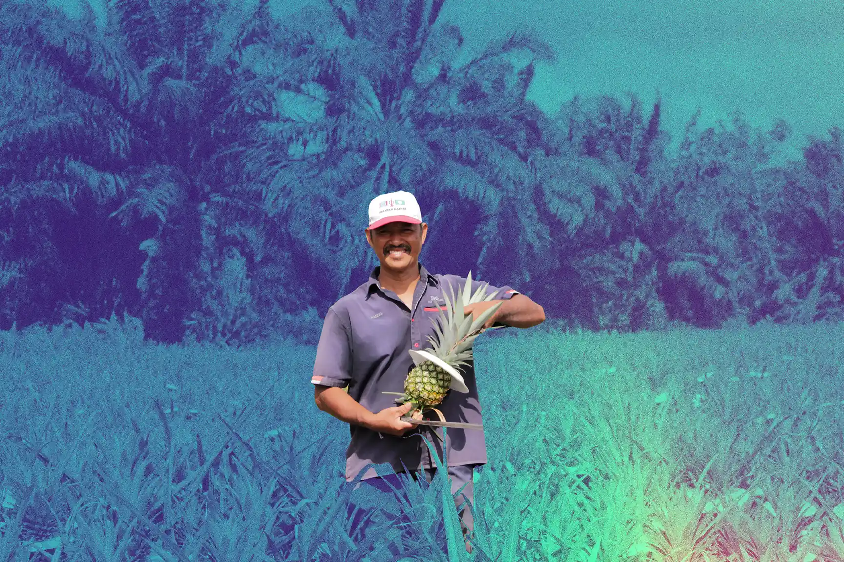 Pineapple farmer Abdul Rahman Amat on his farm