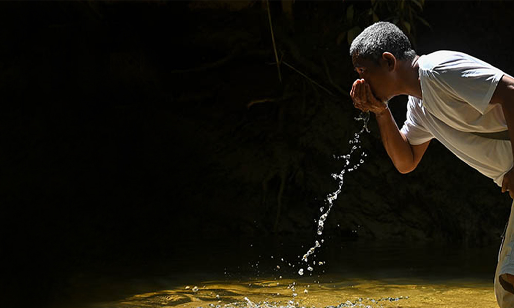 Fighting for land rights, Orang Asli villagers face a new enemy - rare ...