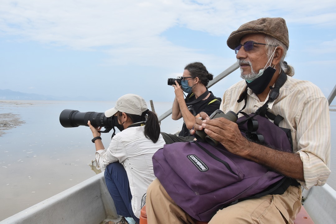 Kanda Kumar and Malaysian Nature Society volunteers conducting a bird survey at the Teluk Air Tawar–Kuala Muda mangrove forest.